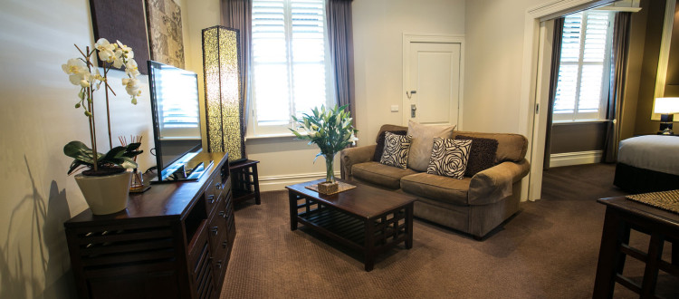 Deluxe One Bedroom Apartment
